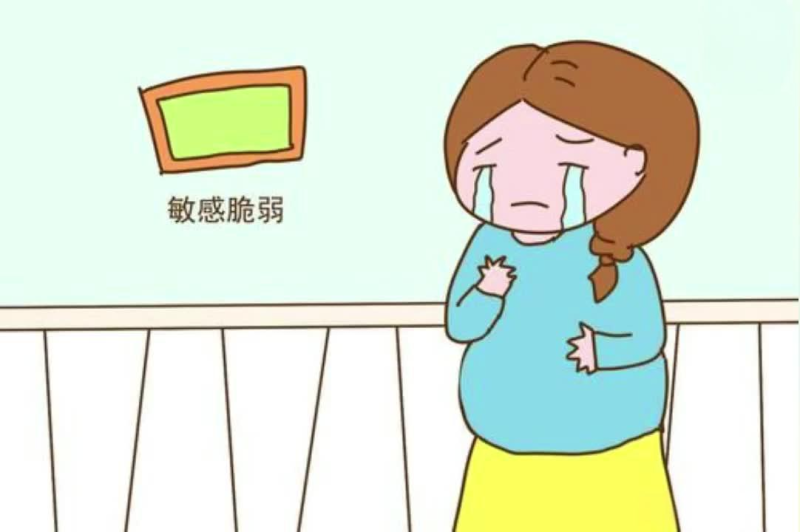 父亲的力量:决定孩子性格的隐形推手-苏小兵家庭教育